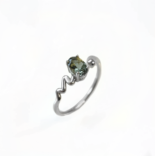 Dizzy Ring